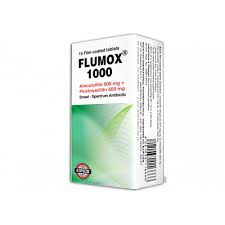 FLUMOX 1000MG