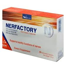 NERFACTORY 30 CAP