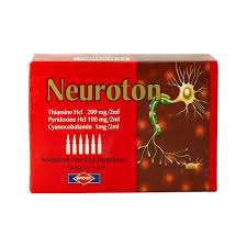 NEUROTON 6 AMP